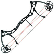 Блочный лук Bear Archery Method